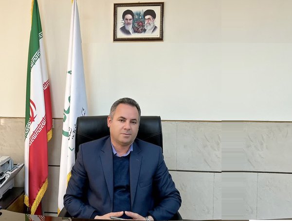 خرید حمایتی ۱۳۵۰تن مرغ مازاد در استان فارس؛ تداوم کشتار و ذخیرهسازی در سردخانهها-img