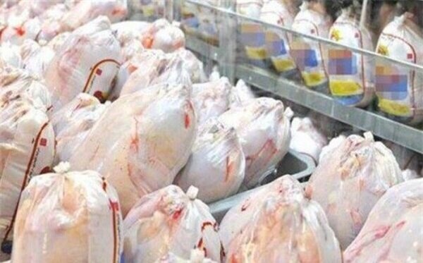 خرید حمایتی ۲۰۰ تن مرغ در ایلام با هدف حمایت از تولیدکنندگان و تقویت ذخایر استراتژیک-img